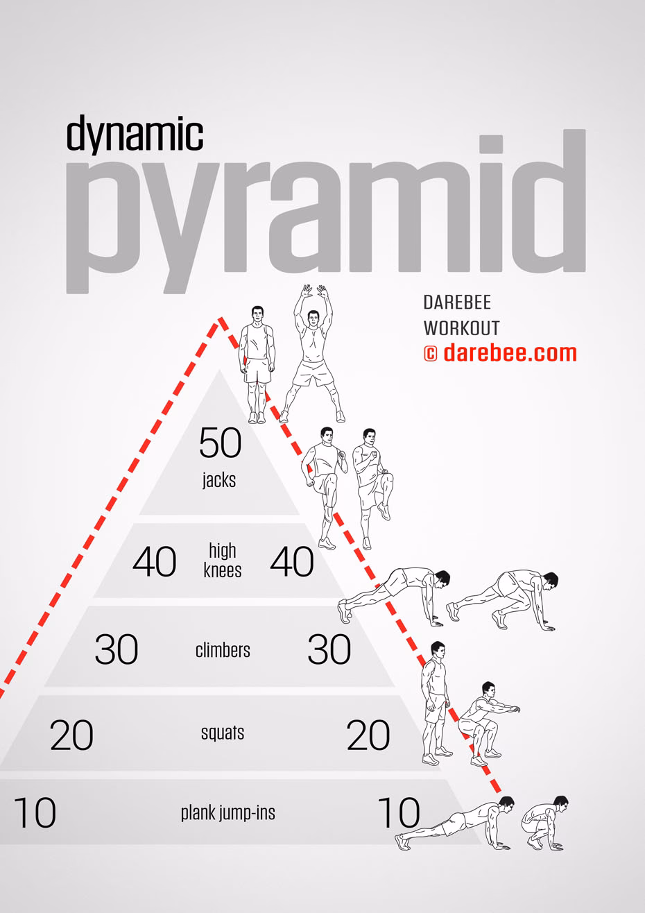 What is a dynamic training plan?