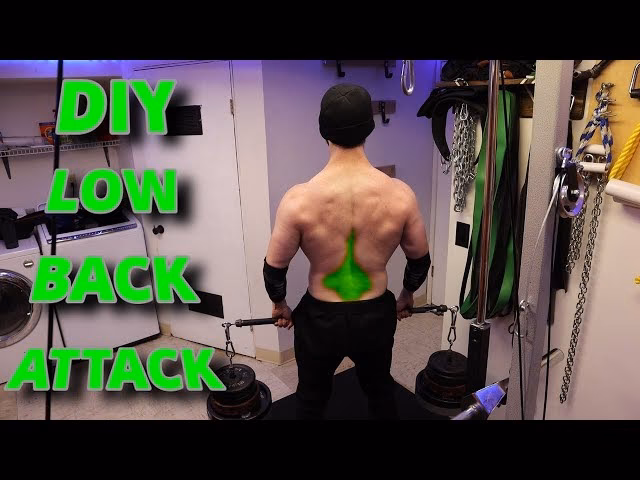 What is a homemade back workout?