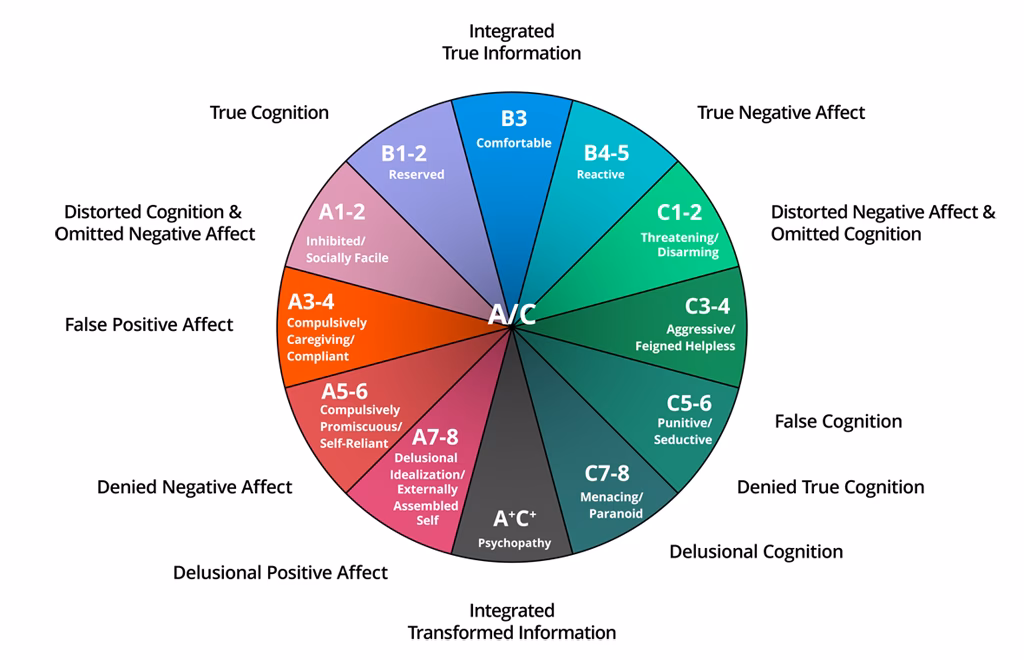 What is the attachment neurodevelopment and psychopathology course?