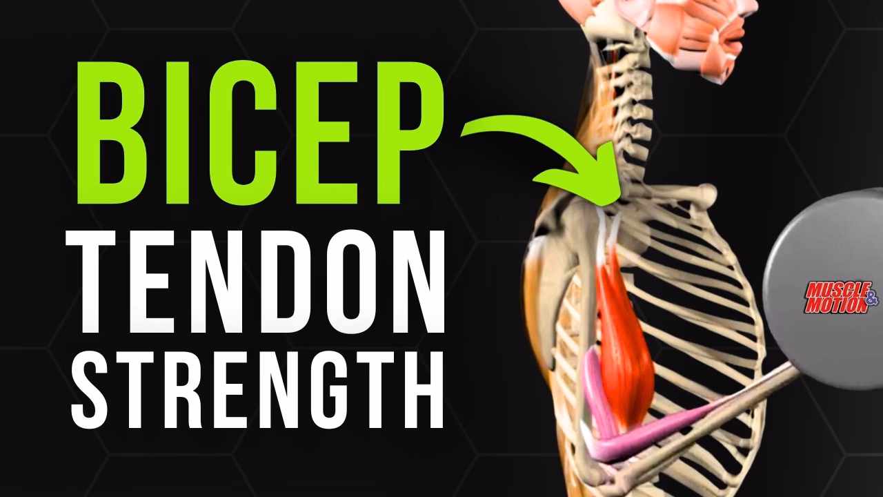 Can physical therapy help a torn bicep tendon?