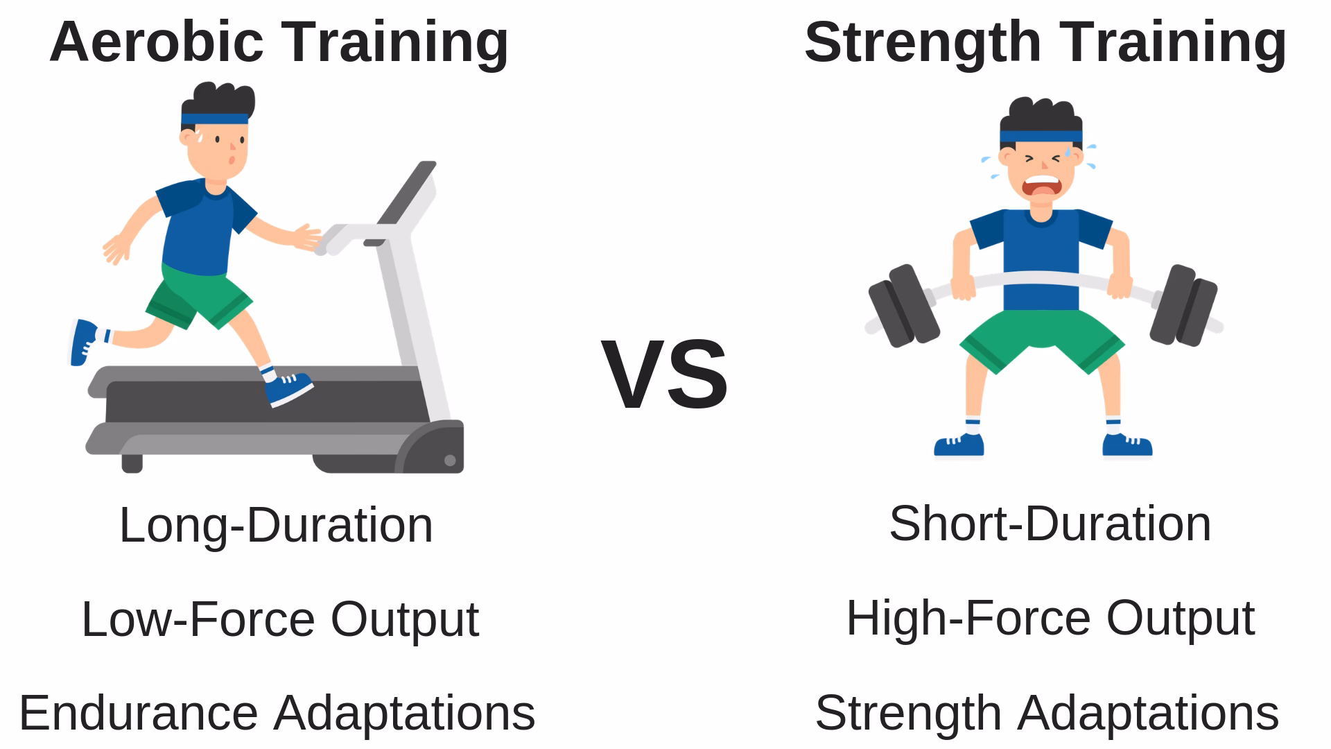 Does cardio help muscle gain?