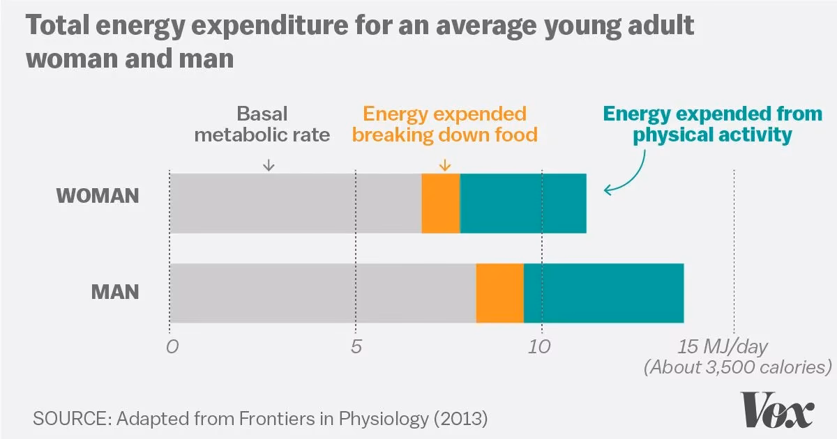 How many calories are burned during exercise?