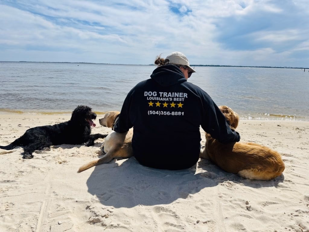 Who is a dog trainer & behaviourist & ADTB accredited?