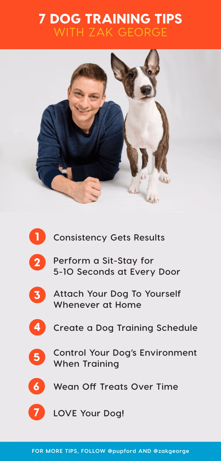How do I train a new dog?