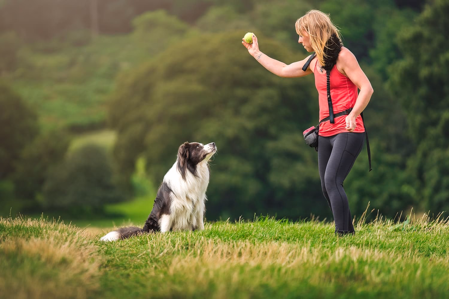 Who are the best dog trainers & clinical animal behaviourists in Bristol?
