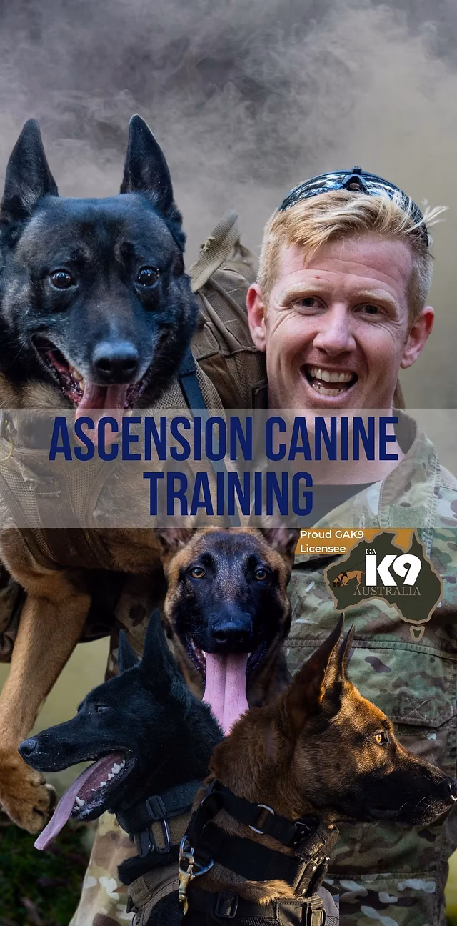 What are Canberra dog training classes?