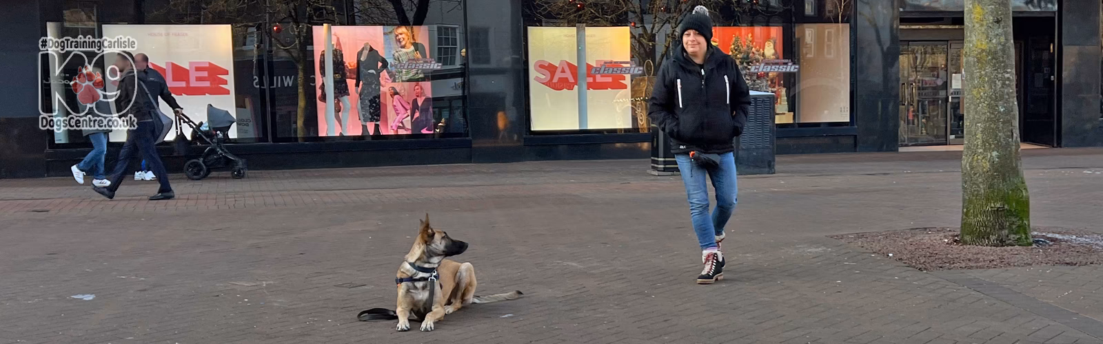 Where does 121 puppy training take place?