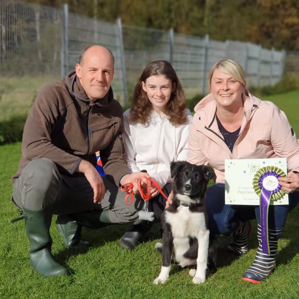 What is puppy classes?