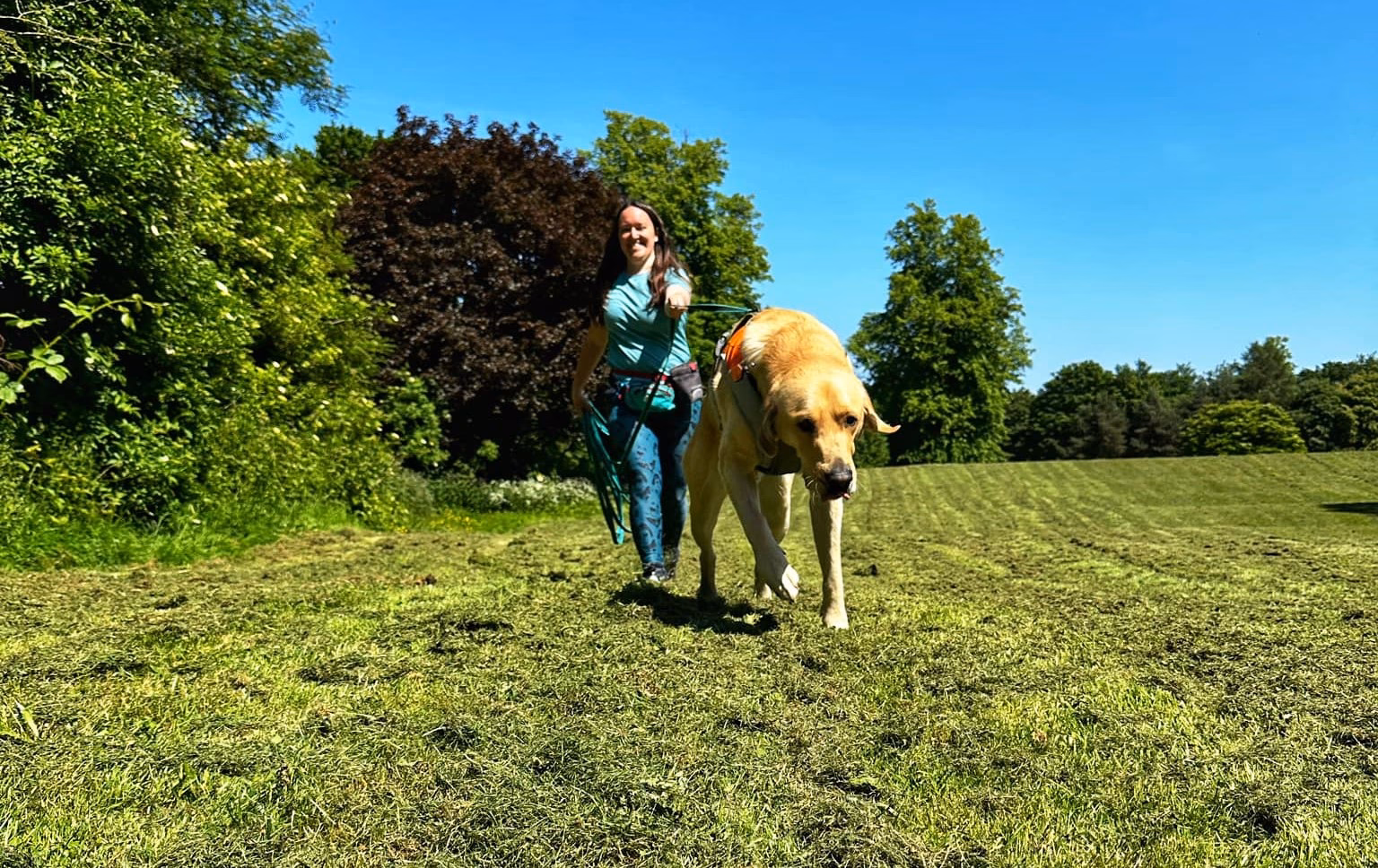 What types of dog training are available in Darlington & Middlesbrough?