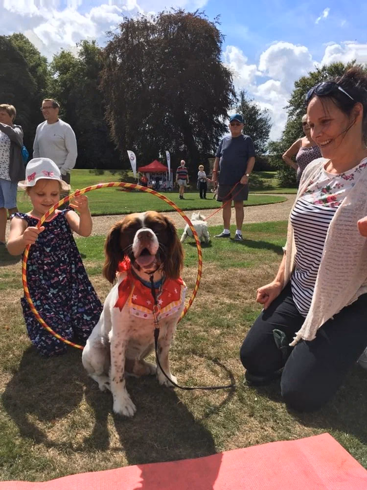 Where can I train a dog in M EON Valley?