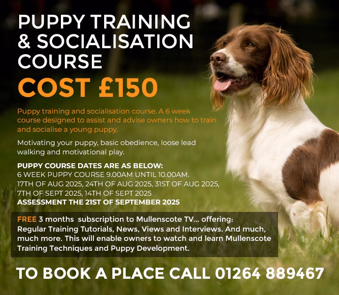 What is included in a dog training package?