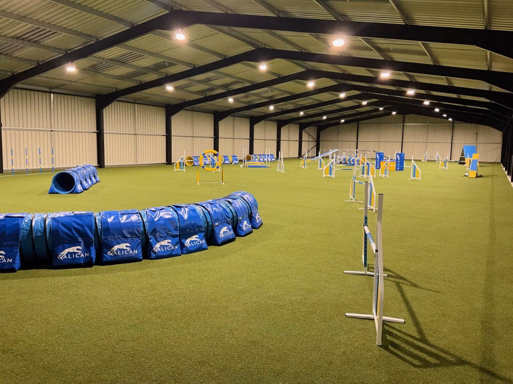 What is a puppy training class?