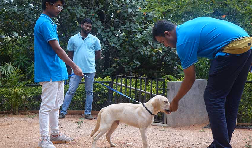 Which is the best dog training service in Hyderabad?