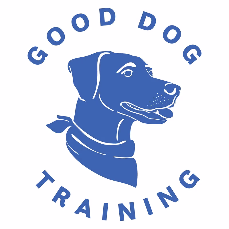 How much does a dog training class cost?