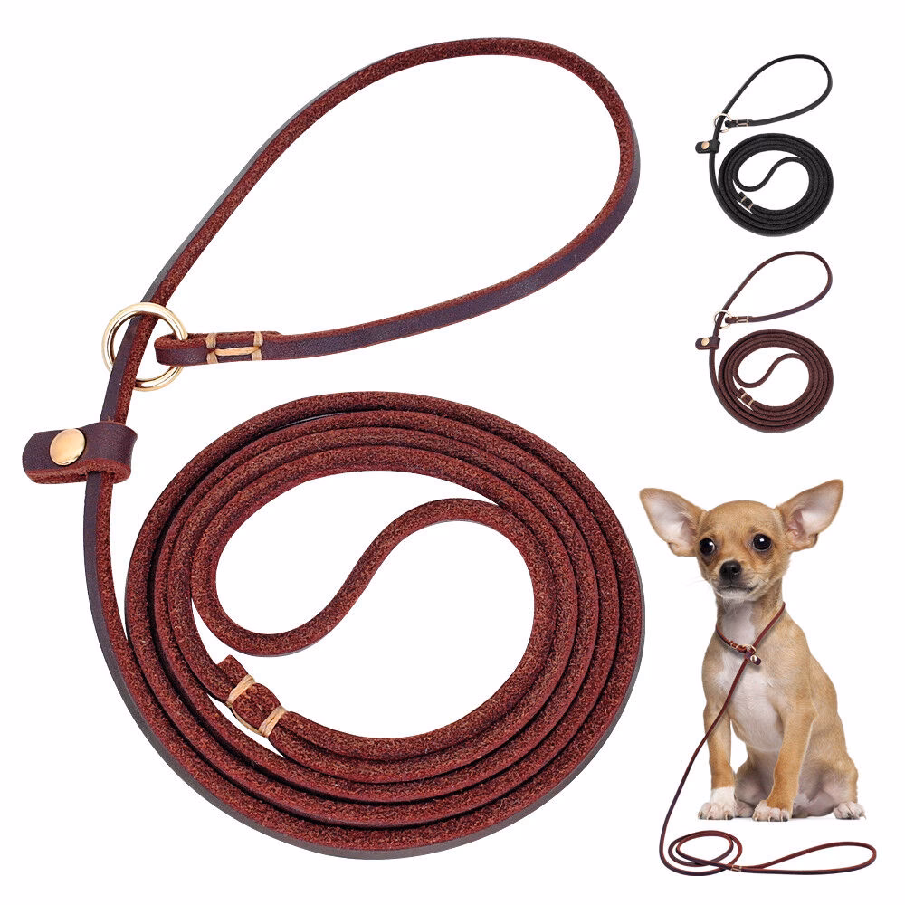 Are training leashes the same?