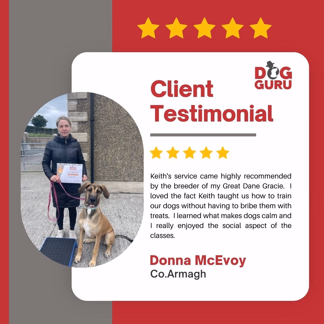 Does Neil offer dog training classes?