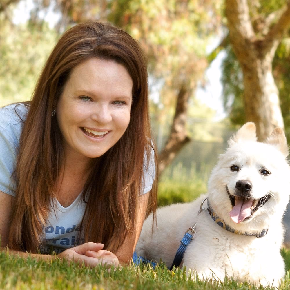 What is Specialty Dog Training?