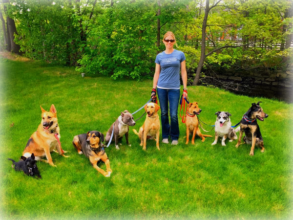 What is in-home dog training Omaha?