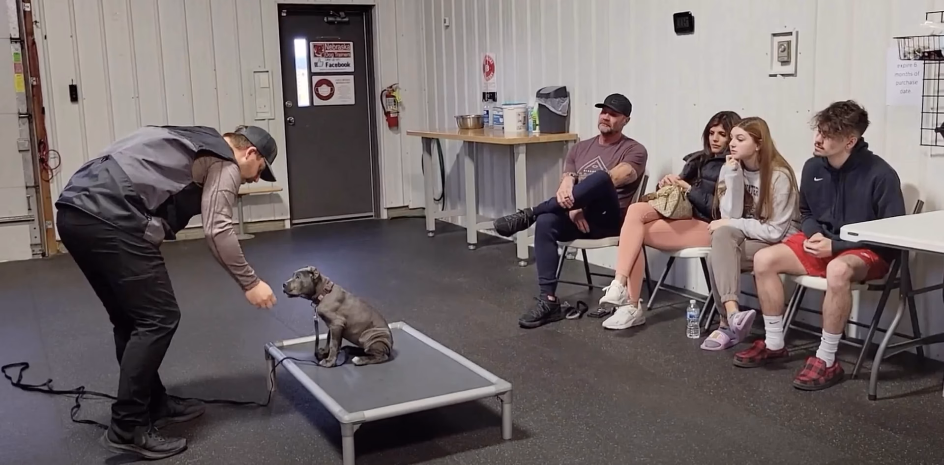 What is Omaha Dog training?