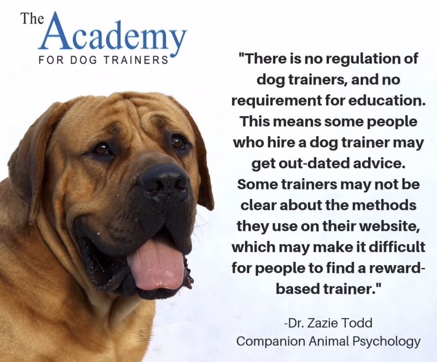What skills do you need to be a certified dog trainer?