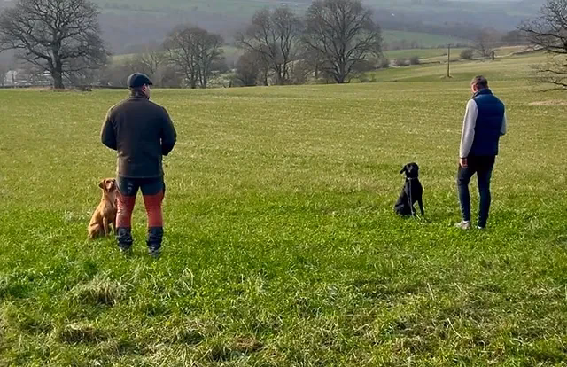 How can fetch club help my dog?