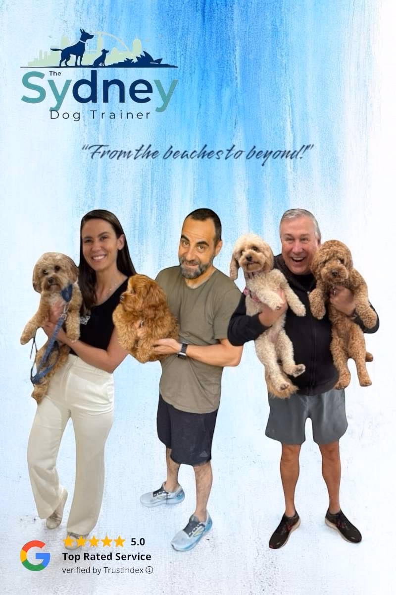 What types of dog training programs are available in Australia?