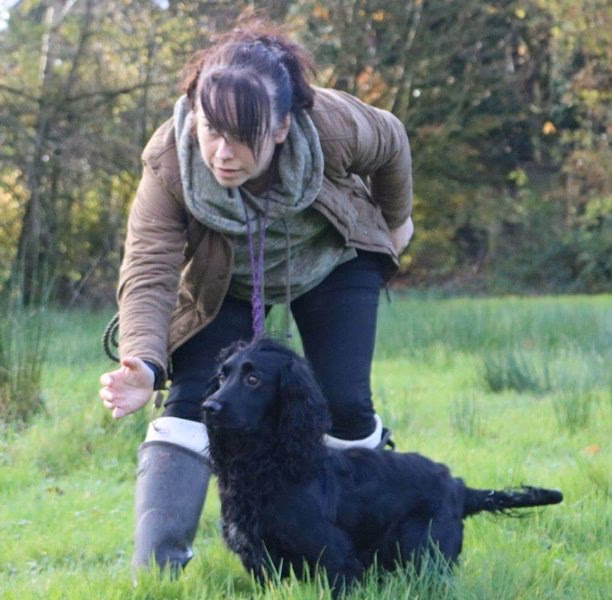 What puppy training options are available in Huddersfield (West Yorkshire)?