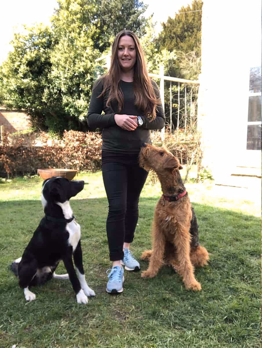 Who is DW dog training & pet care?