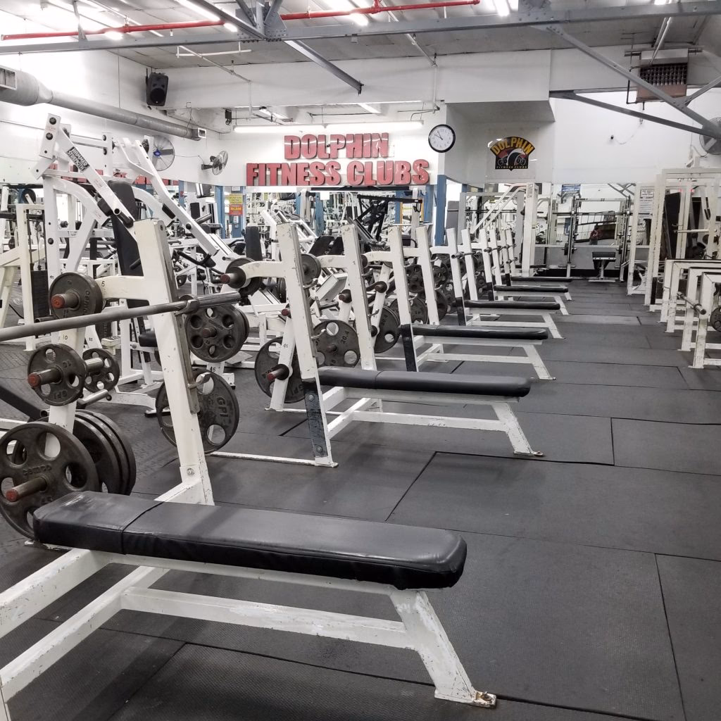 Is Dolphin fitness a good place to buy fitness equipment?