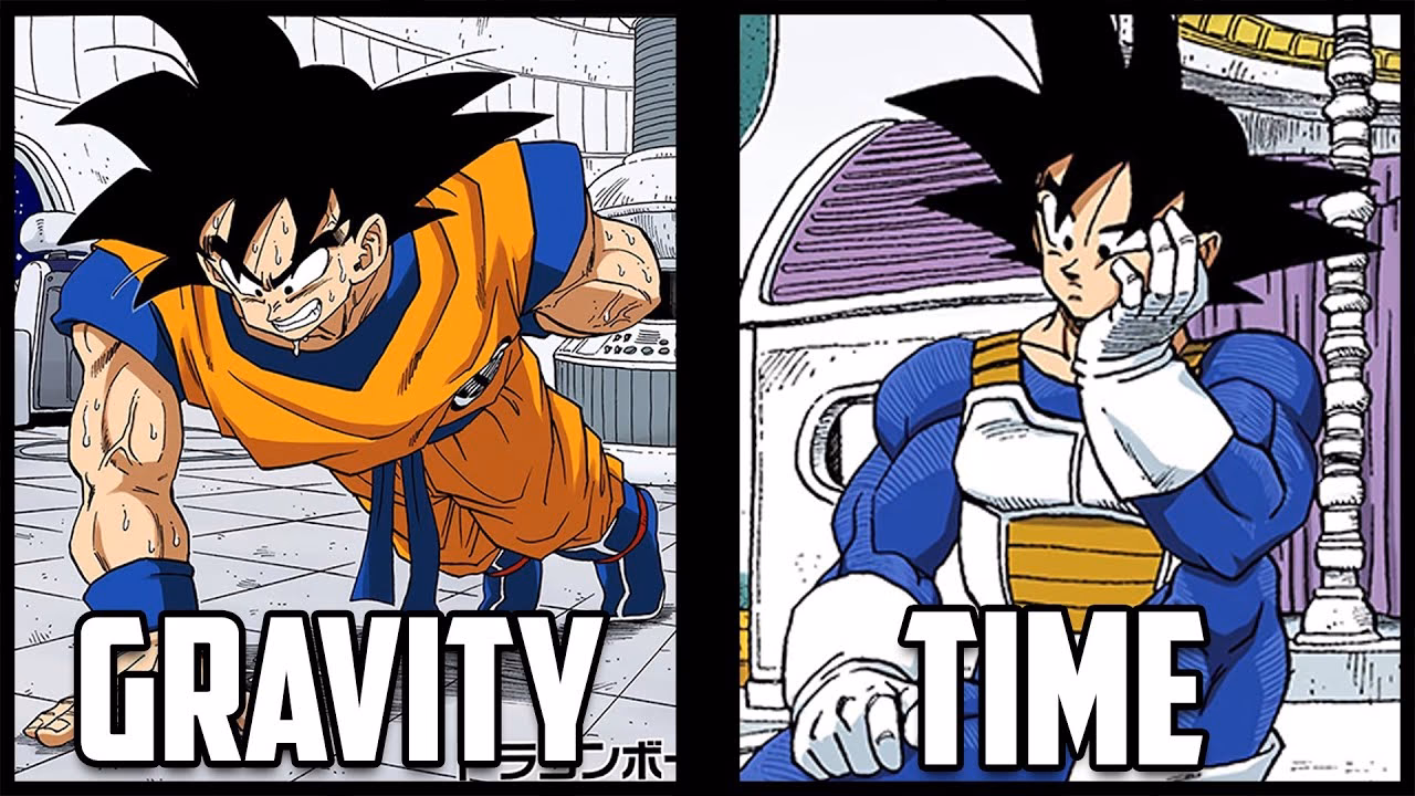 What is image training in Dragon Ball?