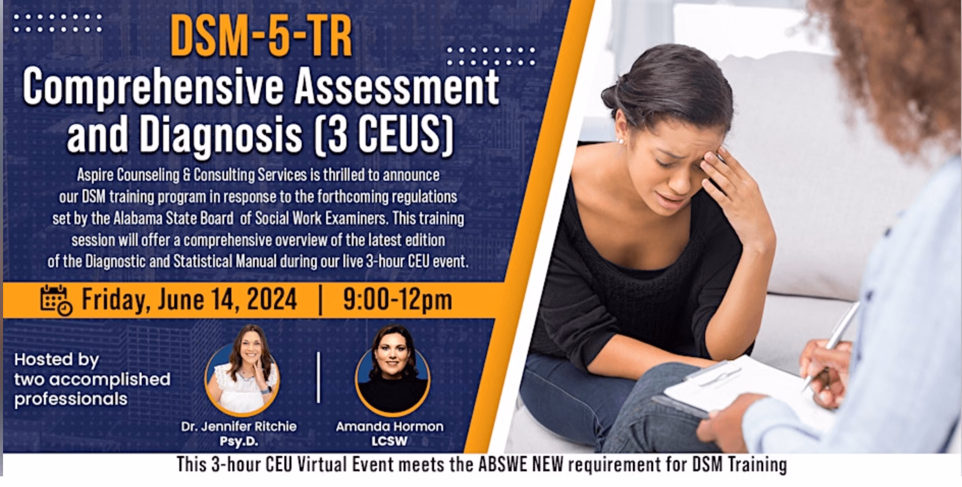 What is a DSM-5 training?