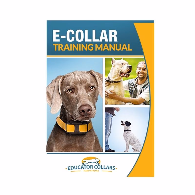Why is my e-collar 300 collar flashing red?
