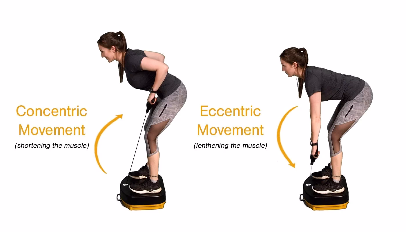 Why is eccentric training better than concentric training?