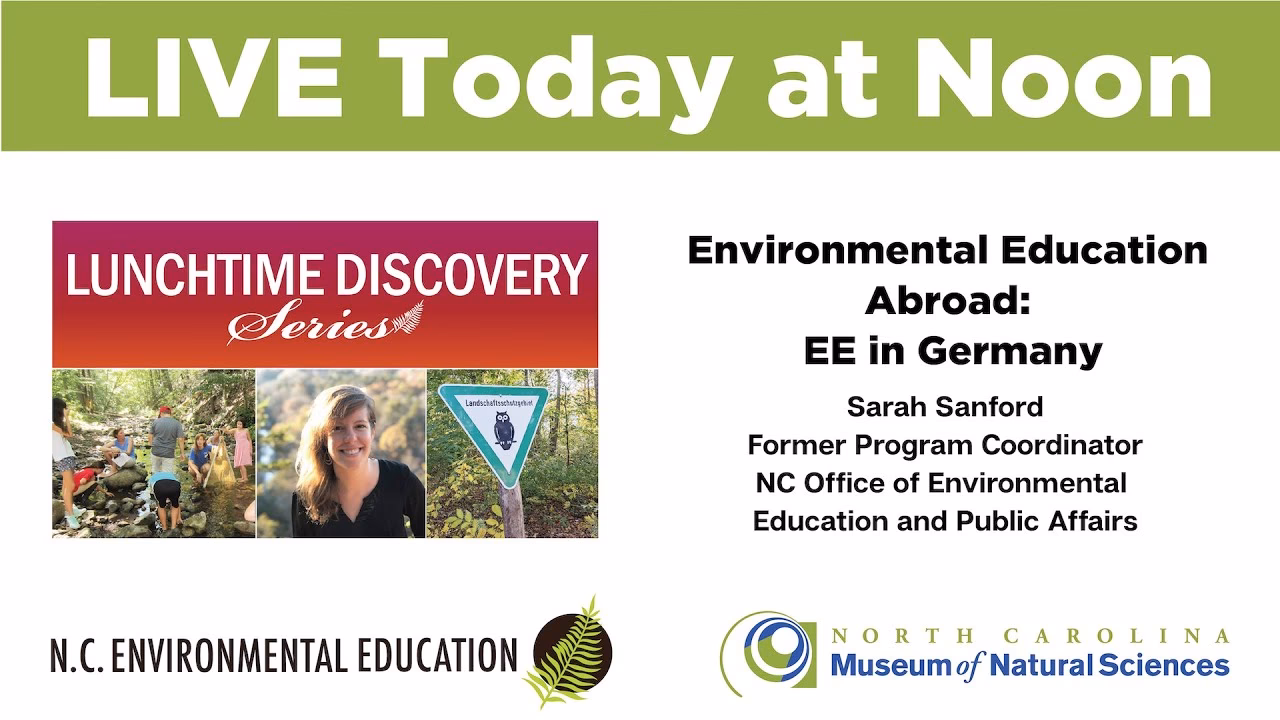 What can you do with an Ecology degree?