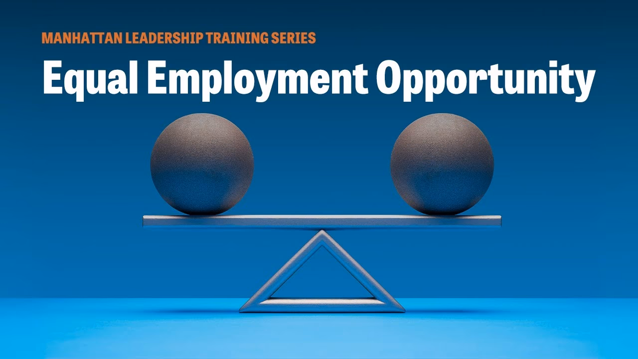 What is equal opportunities and diversity?