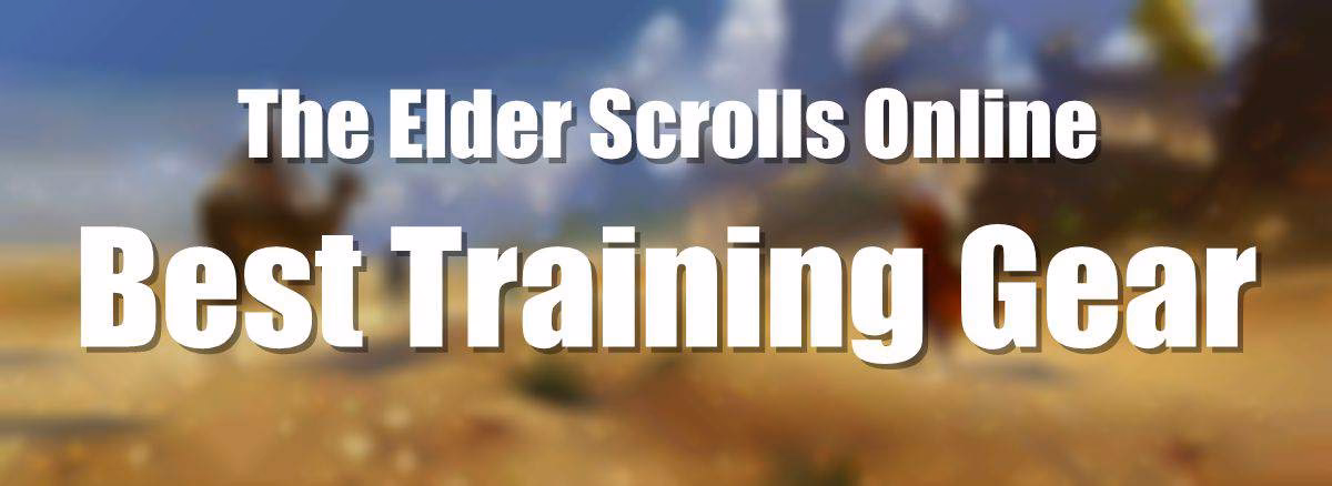 What training gear do you use all the way to level 50?