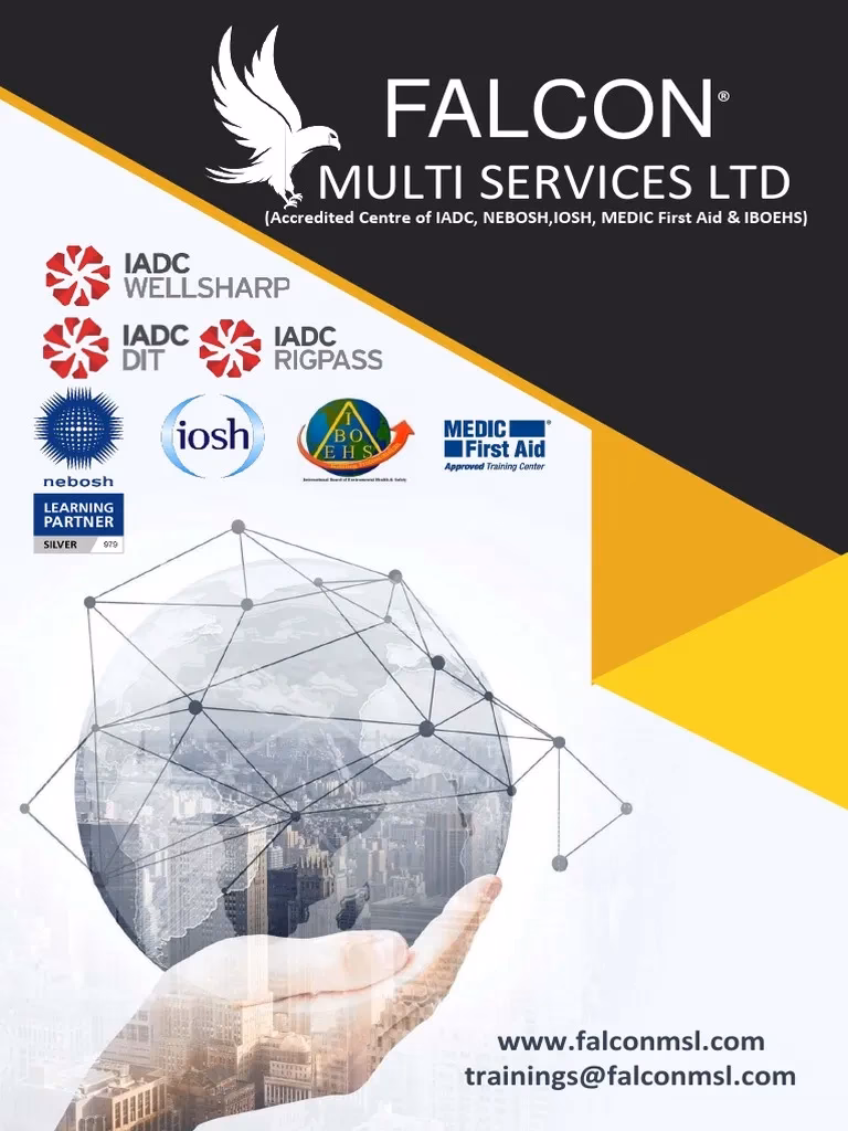 Where is falconmsl based?