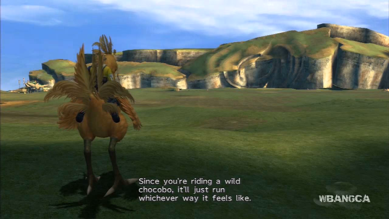How do you race a Chocobo trainer?