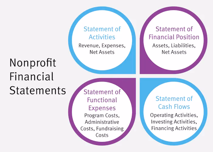 What is financial management for NGO?