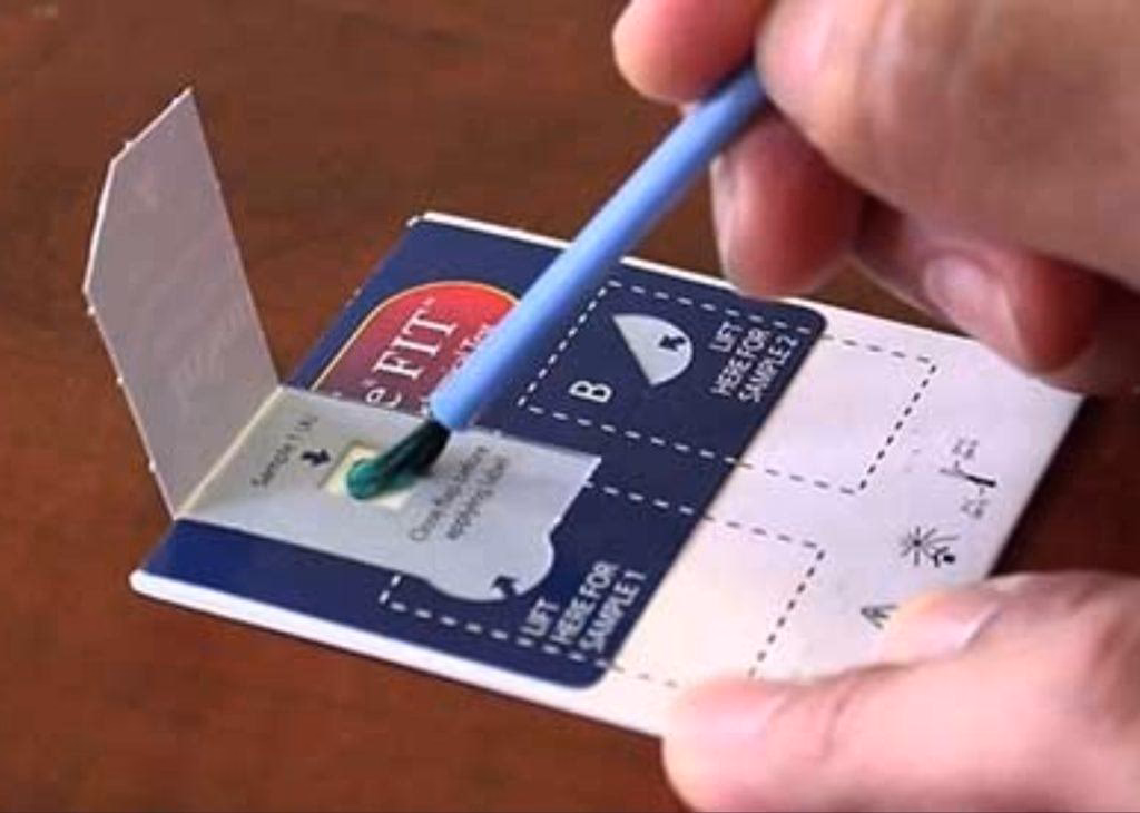 How do I apply for an ABA program at Florida Tech?