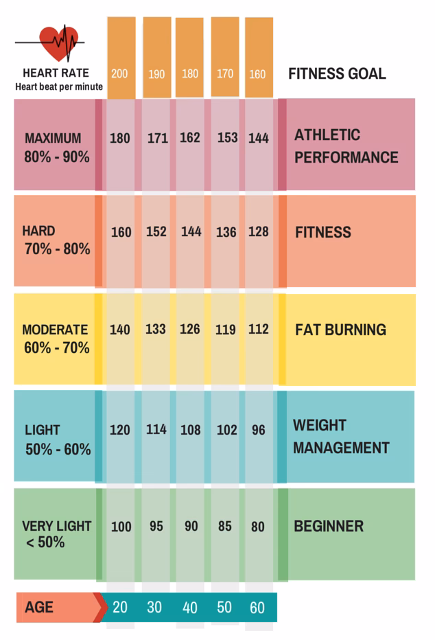 How do I fix a low heart rate on Google Fit?