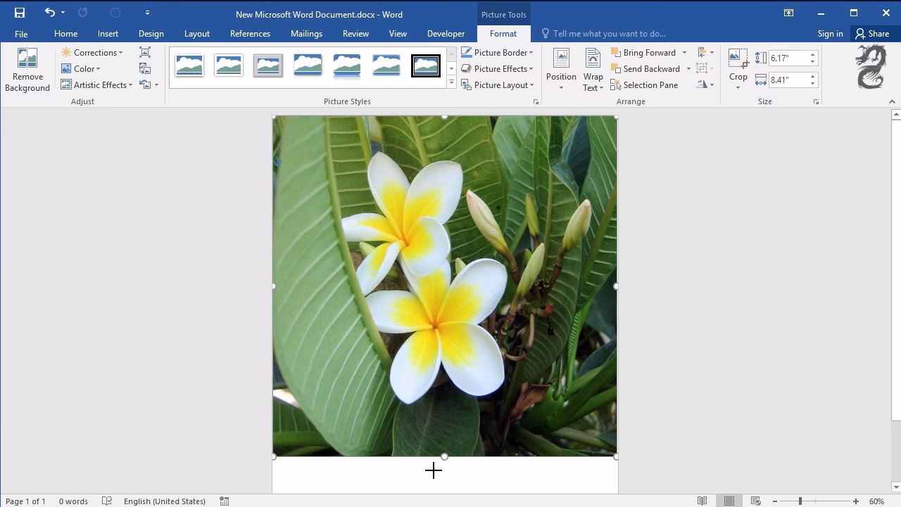 How to fit a picture to a page in word?