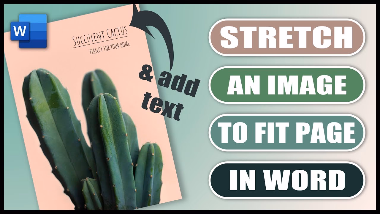 How to fit a picture to a page in word?