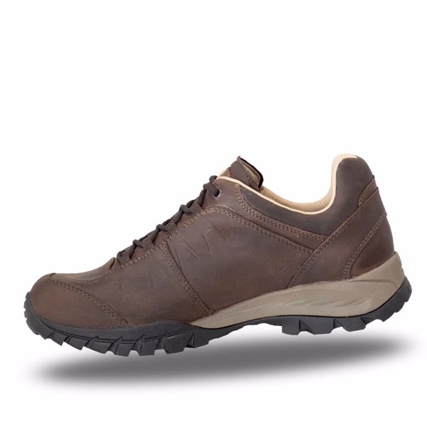 What is the best walking shoe?