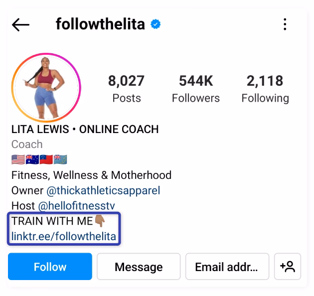 What is a fitness Instagram bio?