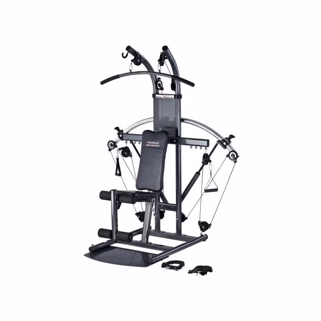 How is biological fitness measured?