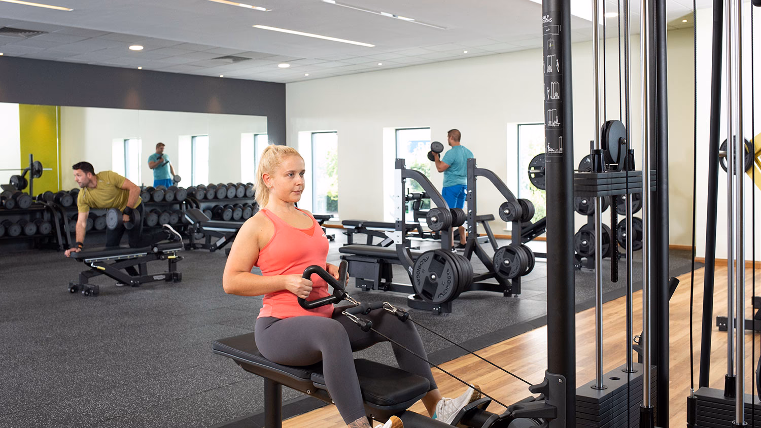What types of exercise classes are available at queenax?