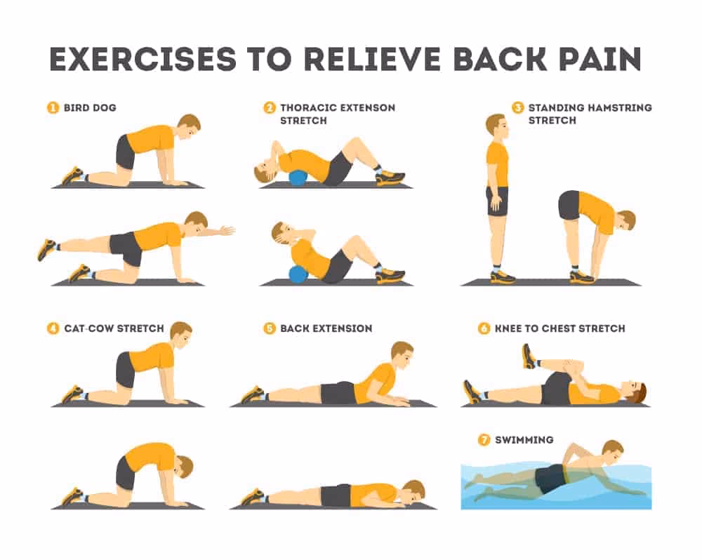How can I strengthen my back?