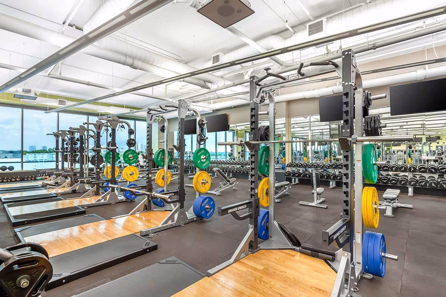 What is the fitness formula?