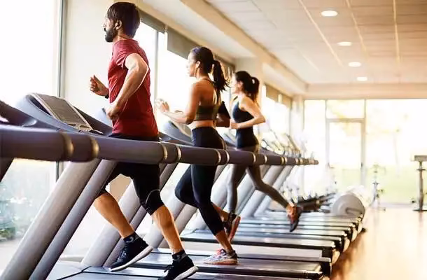 Does insure fitness group offer business insurance?